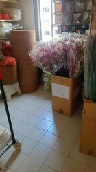 Blk 5 Ghim Moh Road (Queenstown), HDB 3 Rooms #554154411
